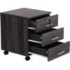 ΣΥΡΤΑΡΙΕΡΑ ΓΡΑΦΕΙΟΥ HAYDEN HM2282.01 ΣΕ ΑΝΘΡΑΚΙ ΧΡΩΜΑ 39.5x40x46.5Υεκ