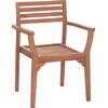 ΠΟΛΥΘΡΟΝΑ ΕΞΩΤ.ΧΩΡΟΥ ERMIONI HM18129 ΞΥΛΟ TEAK--ΦΥΣΙΚΟ ΧΡΩΜΑ 60x59x84Υεκ. (σετ 2 τεμαχίων)