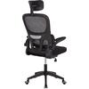 ΚΑΡΕΚΛΑ ΓΡΑΦΕΙΟΥ BASTON HM18236.01 ΜΑΥΡΟ MESH & PP ΣΚΕΛΕΤΟΣ 64x60x117-127Υεκ.