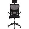 ΚΑΡΕΚΛΑ ΓΡΑΦΕΙΟΥ BASTON HM18236.01 ΜΑΥΡΟ MESH & PP ΣΚΕΛΕΤΟΣ 64x60x117-127Υεκ.