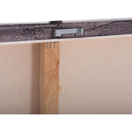 ΠΙΝΑΚΑΣ TOIXOY ΣΕΙΡΑ GOBI HM4861 ΕΚΤΥΠΩΜΕΝΟΣ ΚΑΜΒΑΣ 98x2,5(πάχος)x68Υεκ.