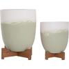 ΓΛΑΣΤΡΕΣ ΣΕΤ 2ΤΜΧ SEON HM4686.09 TERRACOTTA ΣΕ ΛΕΥΚΟ & ΠΡΑΣΙΝΟ--TEAK ΒΑΣΗ