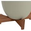 ΓΛΑΣΤΡΕΣ ΣΕΤ 2ΤΜΧ SEON HM4686.09 TERRACOTTA ΣΕ ΛΕΥΚΟ & ΠΡΑΣΙΝΟ--TEAK ΒΑΣΗ