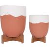 ΓΛΑΣΤΡΕΣ ΣΕΤ 2ΤΜΧ SEON HM4686.08 TERRACOTTA ΣΕ ΛΕΥΚΟ & ΤΕΡΑΚΟΤΑ--TEAK ΒΑΣΗ