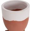 ΓΛΑΣΤΡΕΣ ΣΕΤ 2ΤΜΧ SEON HM4686.08 TERRACOTTA ΣΕ ΛΕΥΚΟ & ΤΕΡΑΚΟΤΑ--TEAK ΒΑΣΗ