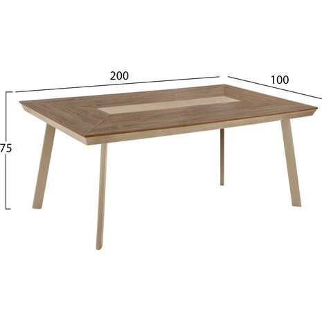 ΤΡΑΠΕΖΙ ΑΛΟΥΜΙΝΙΟΥ TABER HM5131.04 ΚΑΠΟΥΤΣΙΝΟ ΜΕ POLYWOOD TOP 200x100x75Υεκ