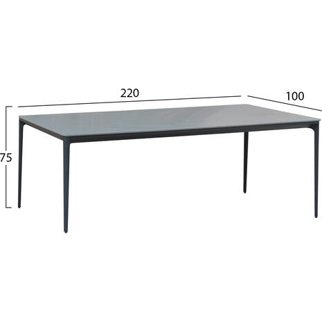 ΤΡΑΠΕΖΙ ΤΡΑΠΕΖΑΡΙΑΣ STAD HM6558.01 ΓΚΡΙ ΑΛΟΥΜΙΝΙΟ & SINTERED STONE TOP 220x100x74Υεκ