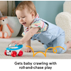 Fisher-Price Κουδουνίστρες Ζωάκια - Ασπρόμαυρος Ασβός JKW53/JKW57