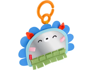 Fisher-Price Καθρεφτάκι Σκαντζοχοιράκι (JHB45)