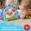 Fisher-Price Καθρεφτάκι Σκαντζοχοιράκι (JHB45)