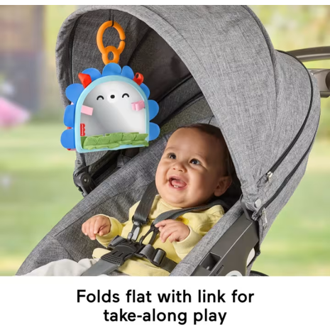 Fisher-Price Καθρεφτάκι Σκαντζοχοιράκι (JHB45)