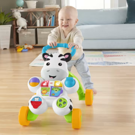 Fisher Price Στράτα Ζέβρα από 6 μηνών