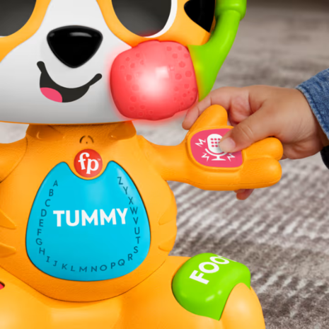Τίγρης ο Τραγουδιστούλης Fisher Price Ζωάκι Link Squad με Μουσική και Ήχους 9+ Μηνών