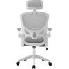ΚΑΡΕΚΛΑ ΓΡΑΦΕΙΟΥ FLOATER HM1230.02 ΛΕΥΚΟ PP--ΑΝΟΙΧΤΟ ΓΚΡΙ MESH 62x62x106-116Υεκ