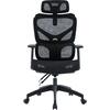 ΚΑΡΕΚΛΑ ΓΡΑΦΕΙΟΥ APEX HM1227.01 ΜΑΥΡO MESH & PP 68x68x120-130Υεκ