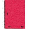 Τετράδιο σπιράλ SKAG ''BASIC'' 2 θεμάτων 17x25cm (276146) (Διάφορα σχέδια)