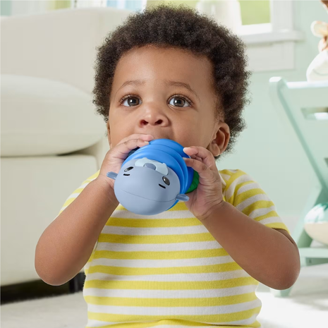 Mattel Fisher-Price Κουδουνίστρες Ζωακια Ωκεανου Fisher Price Squishseas Silicone Walrus JHB54 / JHB56