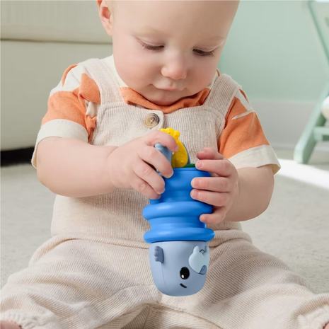 Mattel Fisher-Price Κουδουνίστρες Ζωακια Ωκεανου Fisher Price Squishseas Silicone Walrus JHB54 / JHB56