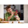 LEGO® Botanicals Plum Blossom 18+ (10369)