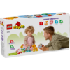 LEGO® DUPLO® Animal Train (10412)