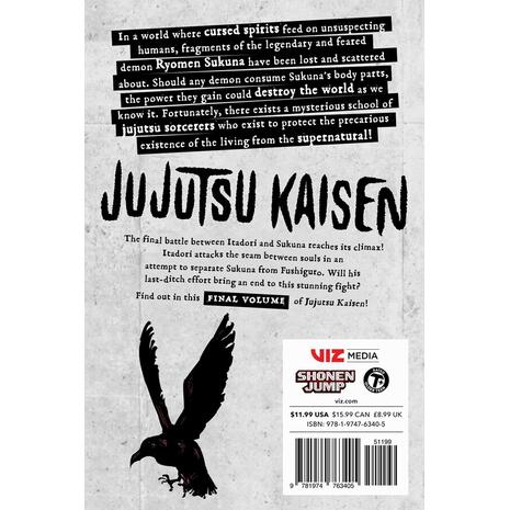 Jujutsu Kaisen Vol.30 PA - Gege Akutami (9781974763405)